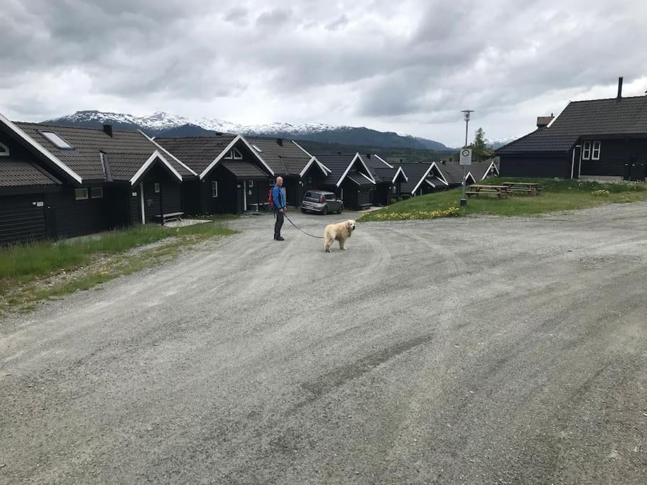 Voss - Flott Hytte I Bavallen Skulestadmo Exterior foto