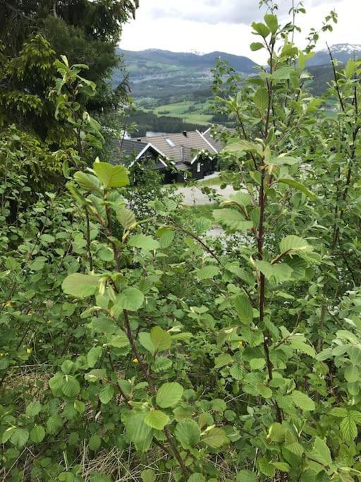 Voss - Flott Hytte I Bavallen Skulestadmo Exterior foto